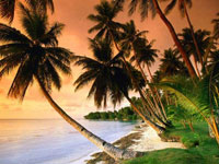 Phu Quoc Island Tour