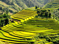 Sapa tours