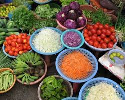 Thuy-Bieu-Eco-Village